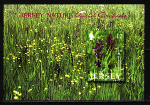 Джерси, 2003, Дикорастущие орхидеи, Цветы, блок